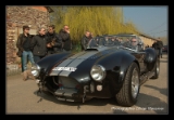 Cobra replica.DNG